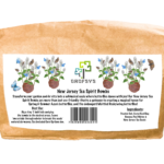 New Jersey Tea Spirit Bombs