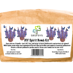 Wild Lupine DIY Kit